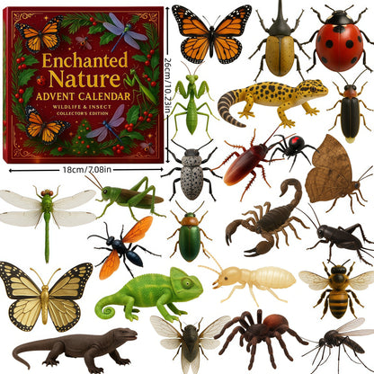 Insekten Adventskalender 2025